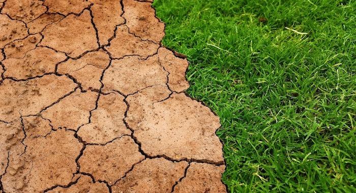 Dry, cracked earth next to green, lush grass.