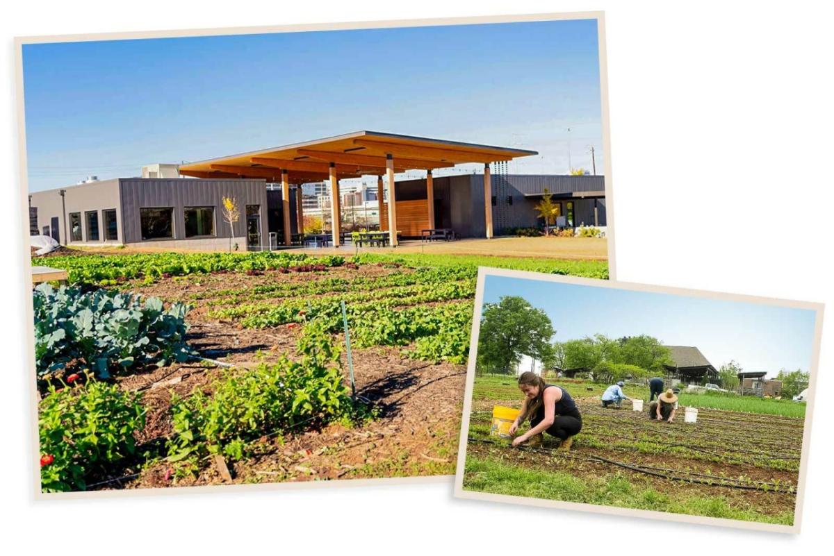 collage of people farming