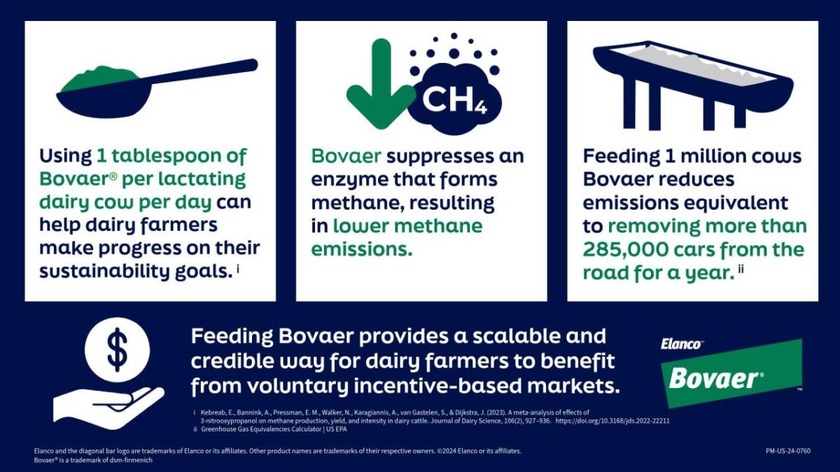 Bovaer infographic