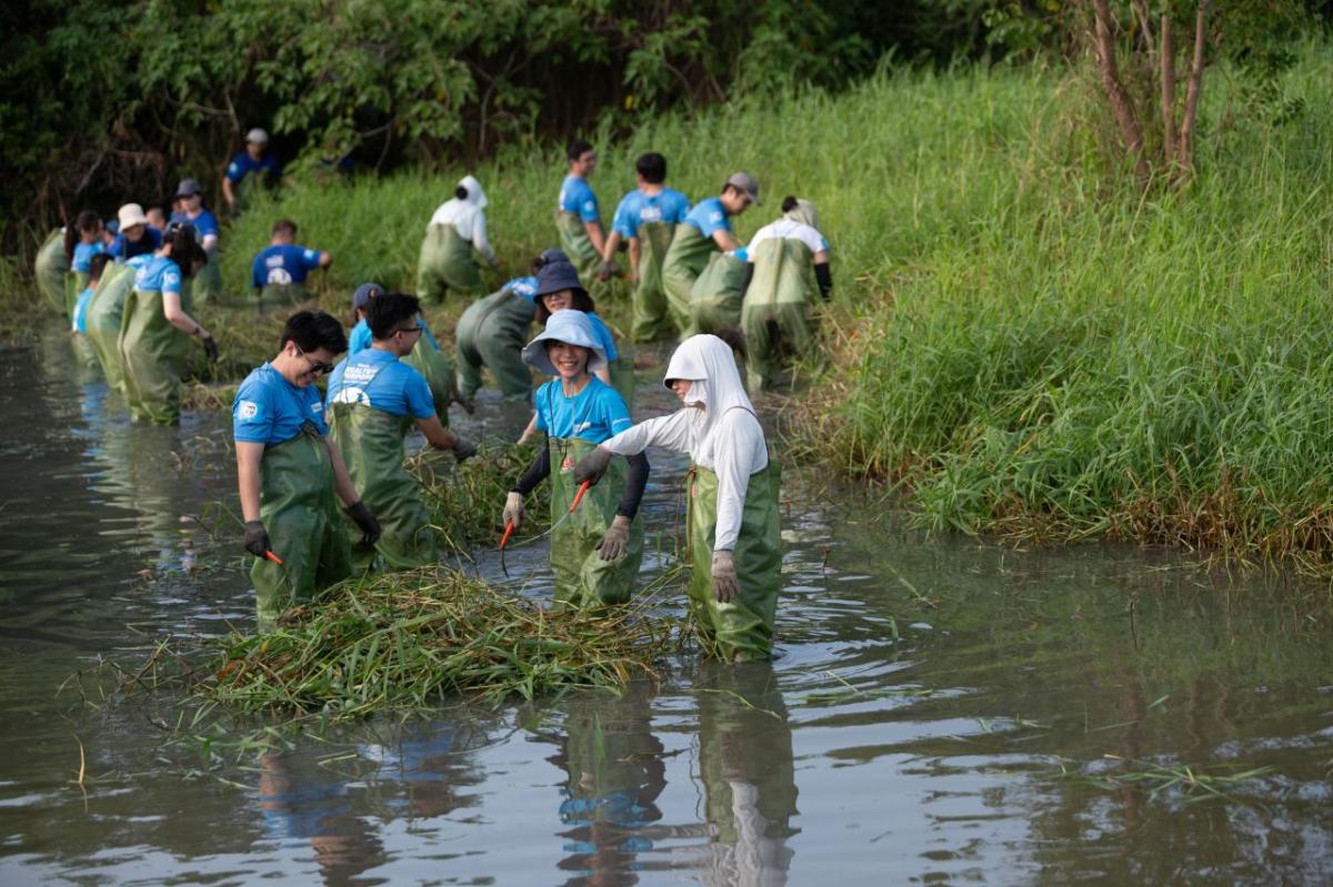 Elanco employees working in pond