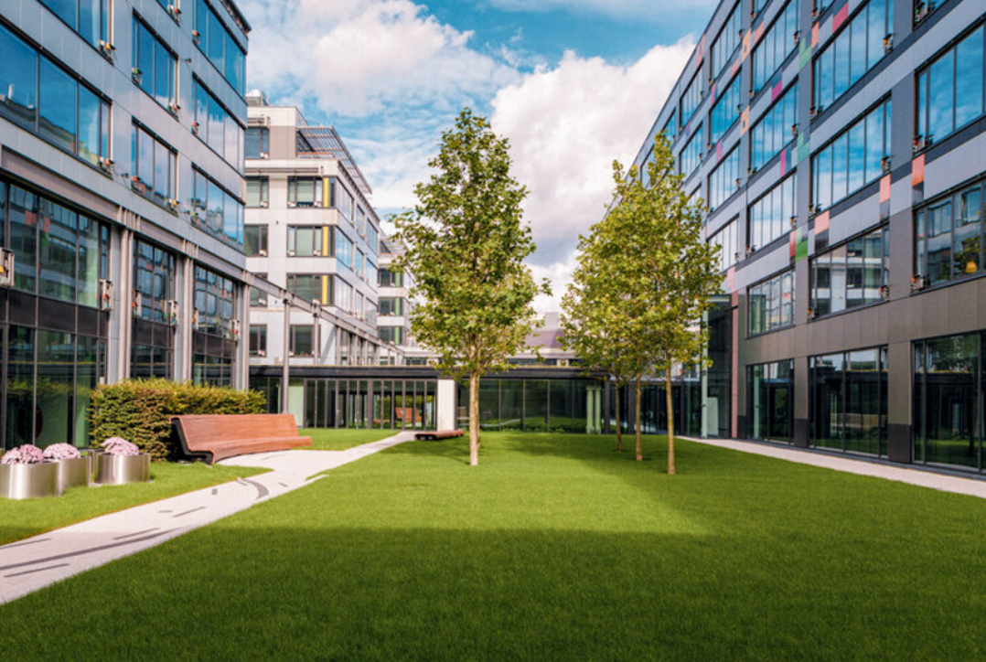 Green space shown in a courtyard between two buildings.