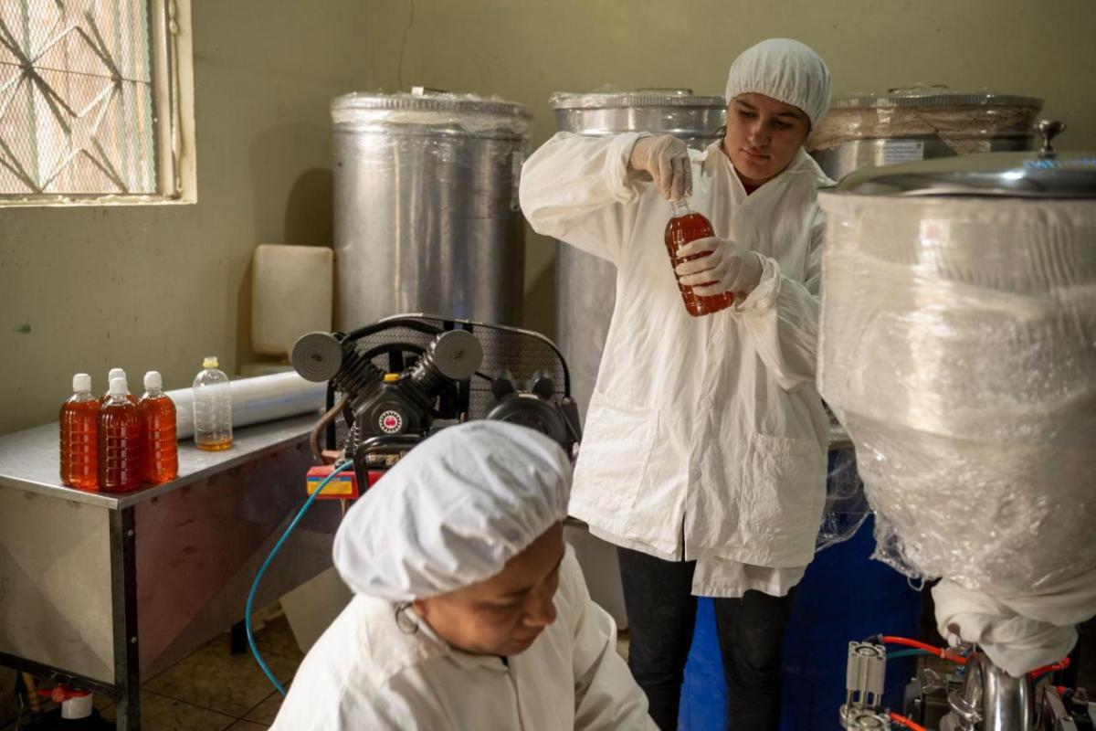 In the cooperative, members bottle honey.