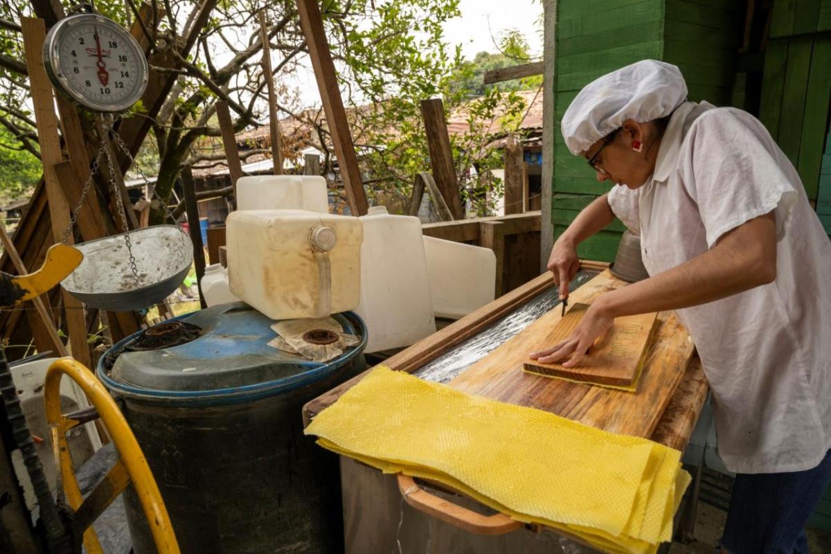 Action Against Hunger supports all stages of the wax and honey-making process.