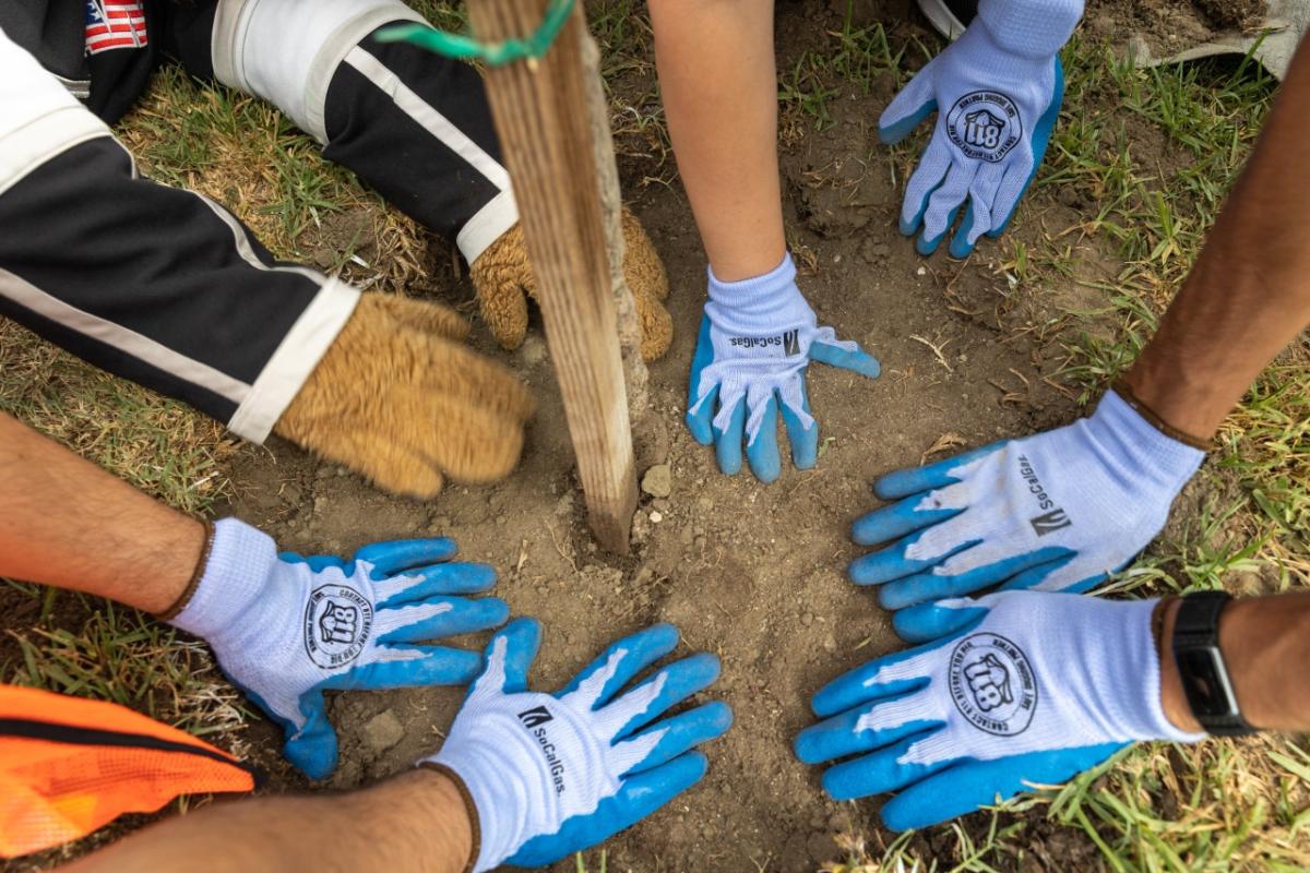 volunteers planting a stake in the ground