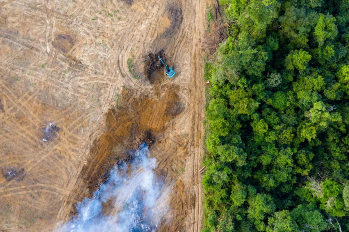 Aerial view of deforestation