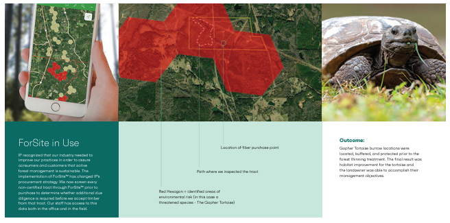 ForSite in Use IP recognized that our industry needed to improve our practices in order to assure consumers and customers that active forest management is sustainable. The implementation of ForSite™ has changed IP’s procurement strategy. We now screen every non-certified tract through ForSite™ prior to purchase to determine whether additional due diligence is required before we accept timber from that tract. Our staff has access to this data both in the office and in the field. Outcome: Gopher Tortoise.