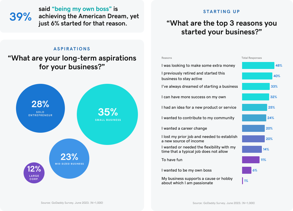 Long term aspirations infographic