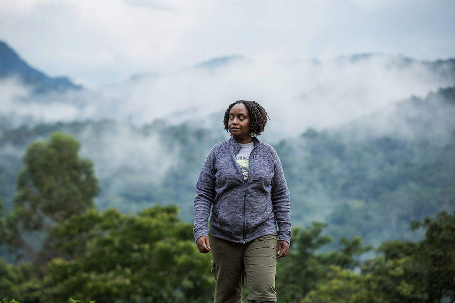 person hiking in the mountains