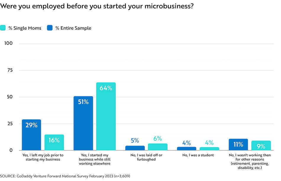 GoDaddy Microbusiness chart for single moms.