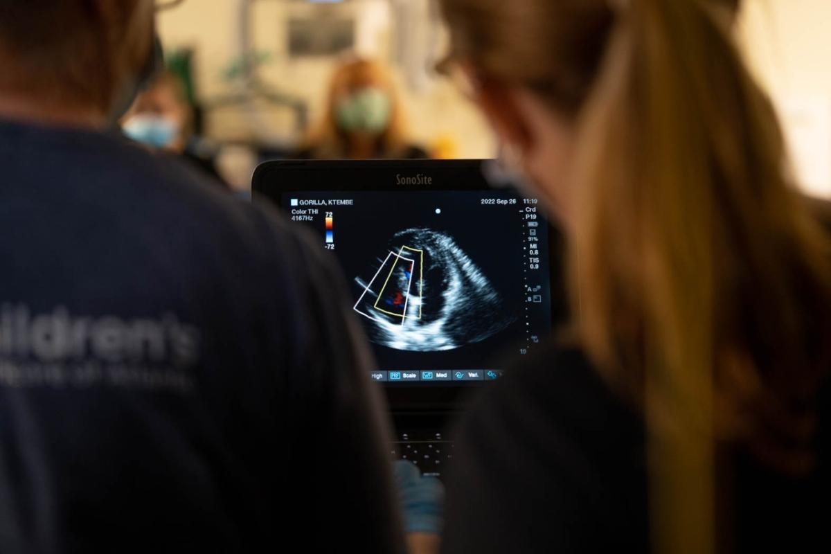  People look at readings from one of the implanted devices.