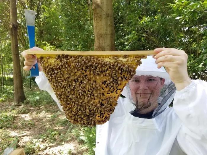 Hillary shown with a beehive.