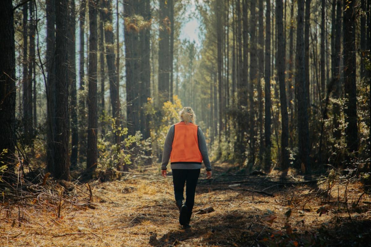 person walking in the woods