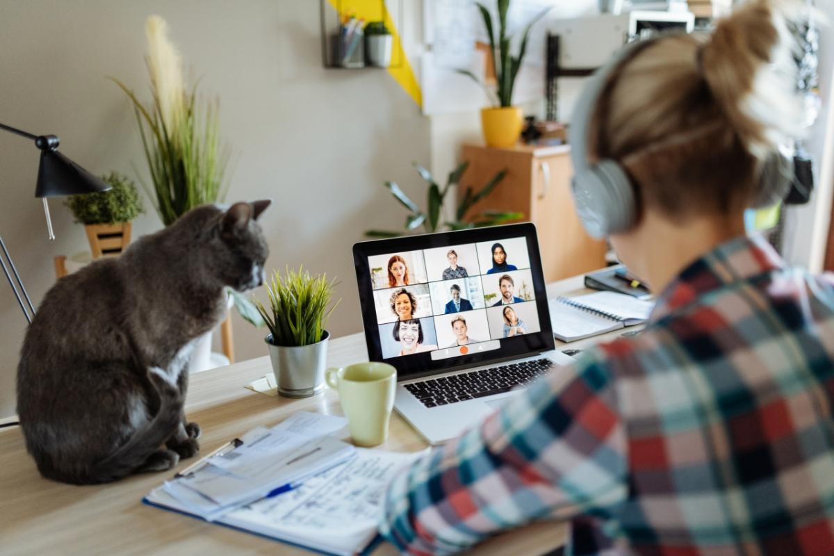 woman working on laptop from home with her cat