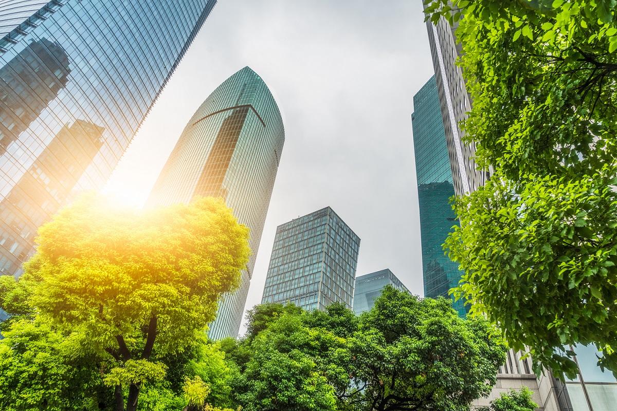 cityscape and trees