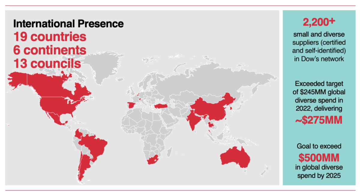 "International Presence 19 countries 6 continents 13 councils"