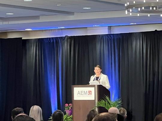 A person stood behind a podium giving a speech 