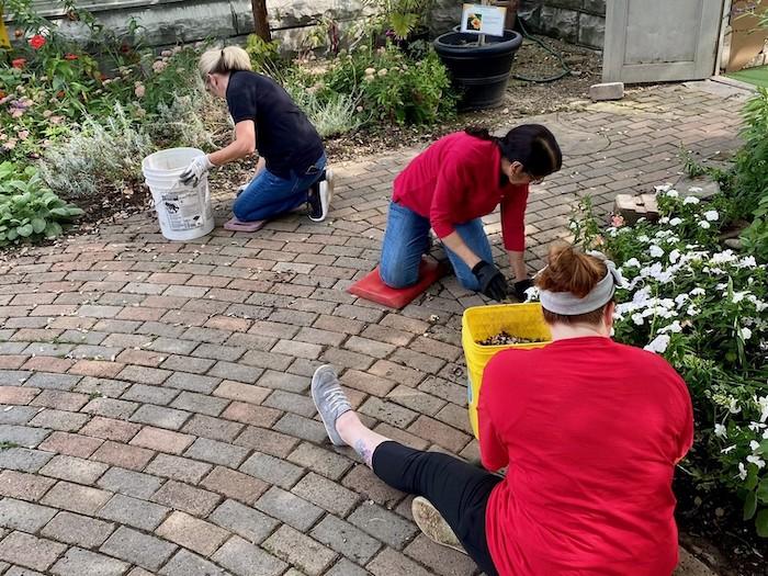 KeyBank volunteers weeding a small garden.