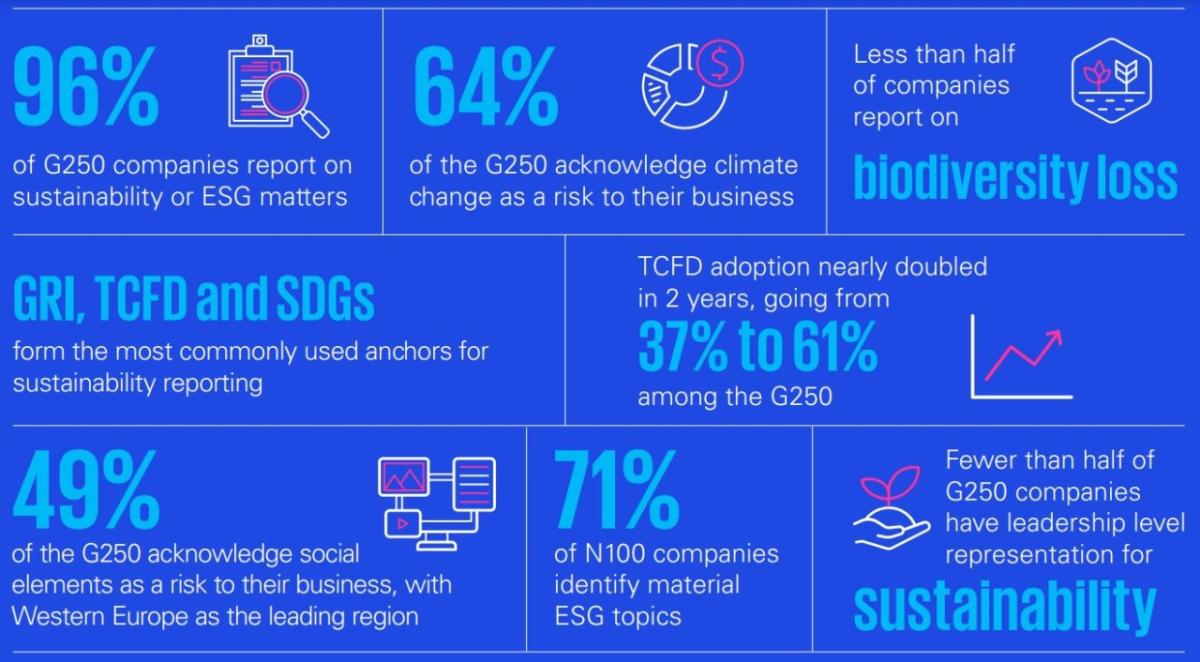 Infographic on the G250