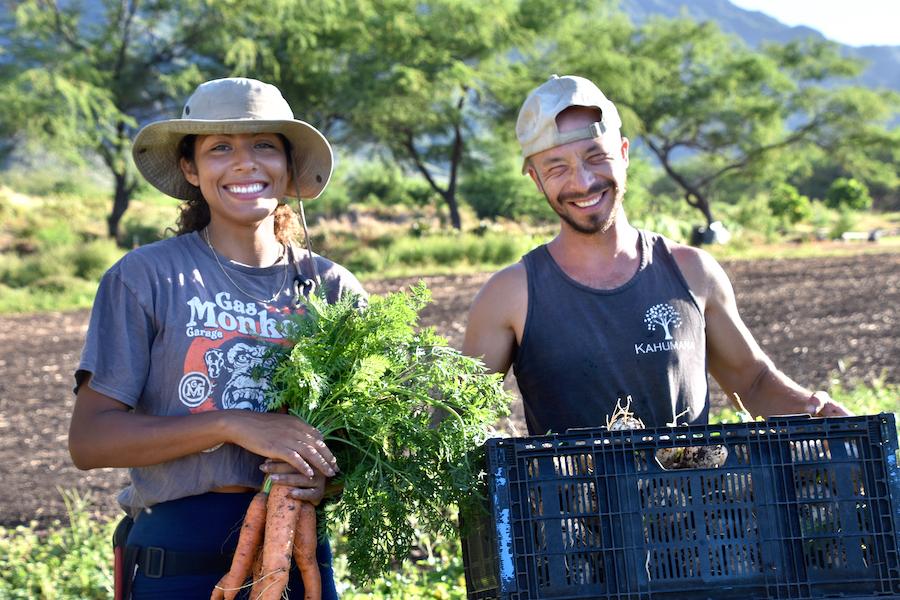 Two people holding vegetables just picked from a field