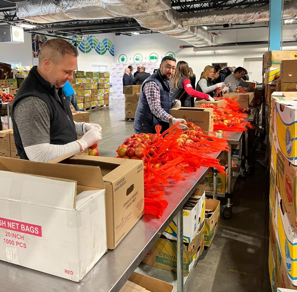 Assembly line of volunteers at Conn. Food Share warehouse.