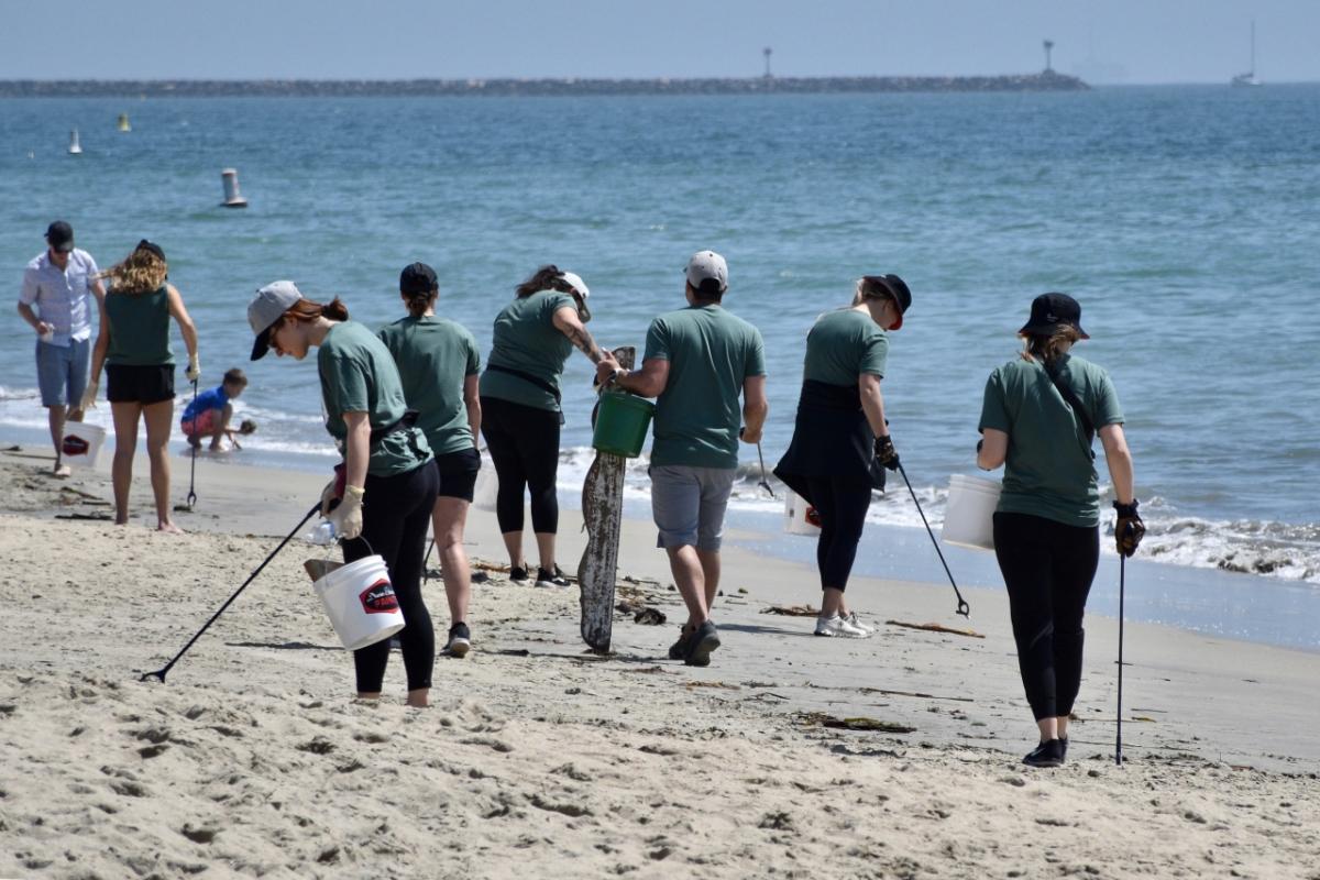 people picking up trash along a beach