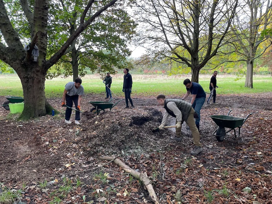 Clearing a local park – United Kingdom