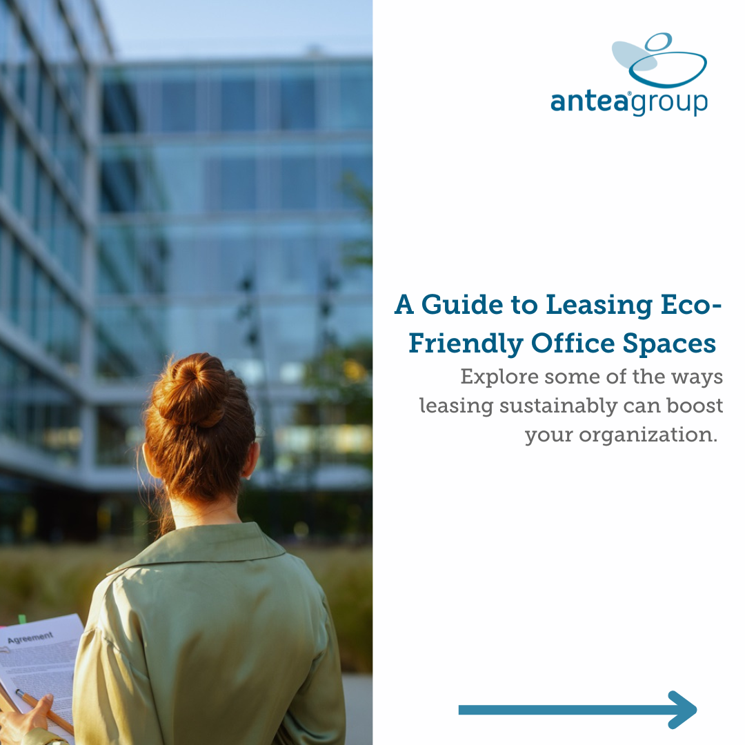 Eco-Friendly Office Leasing