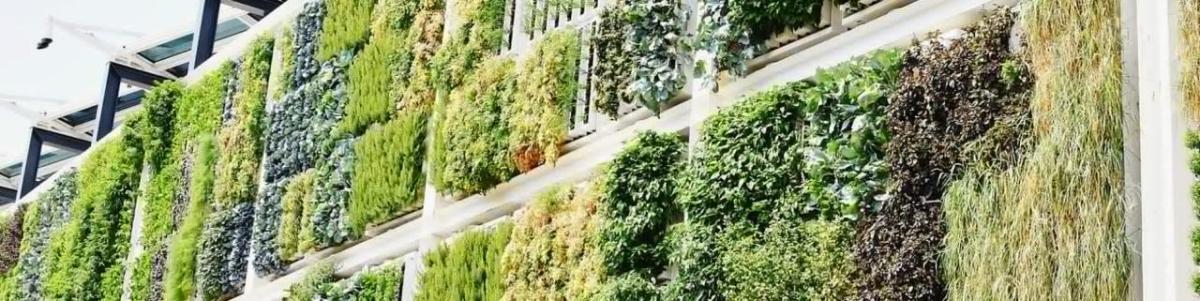 A wall filled with different greenery.