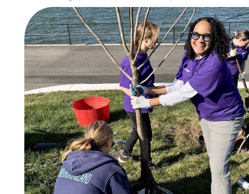 Colleagues volunteer by planting trees on Governors Island in New York City. 