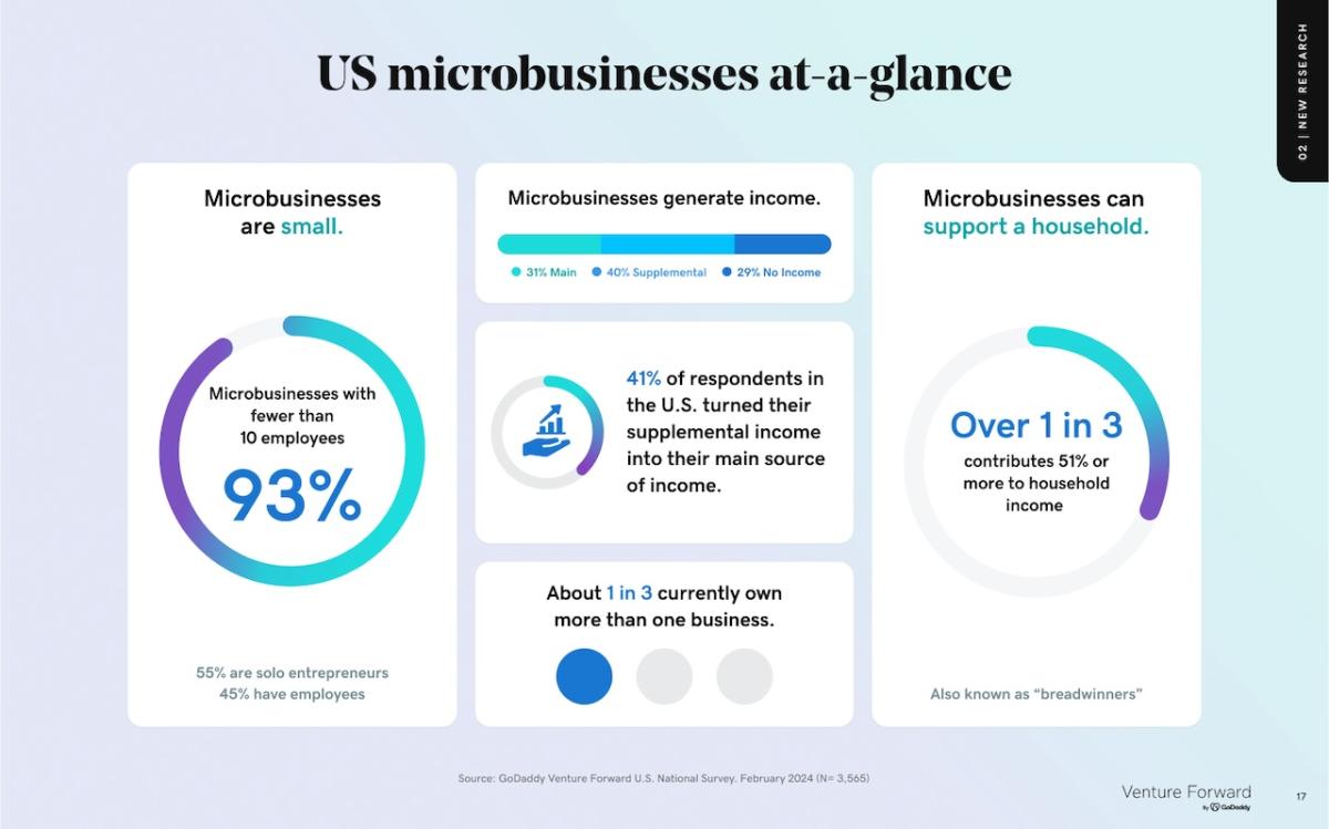 Chart showing US microbusinesses at a glance.