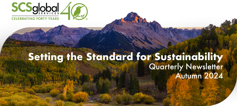 Artistic representation of mountains and trees with the words "Setting the Standard for Sustainability" Quarterly Newsletter Autumn 2024"