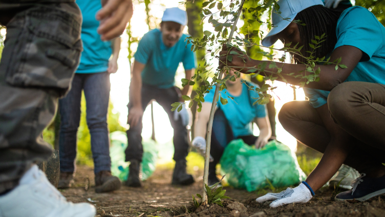 Group of people planting a tree.