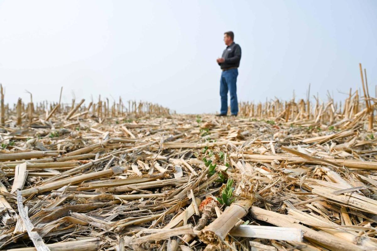 Conservation Tillage