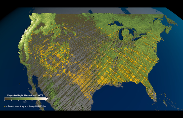 A visualization of forest height data from GEDI. Image by NASA