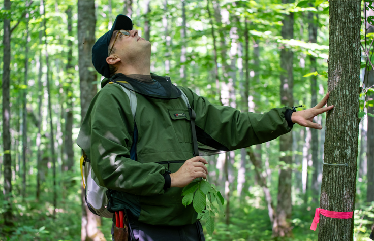 Professor Nathan Swenson inspects a tree being sampled for his gene sequencing and remote sensing project. Photo by Barbara Johnston