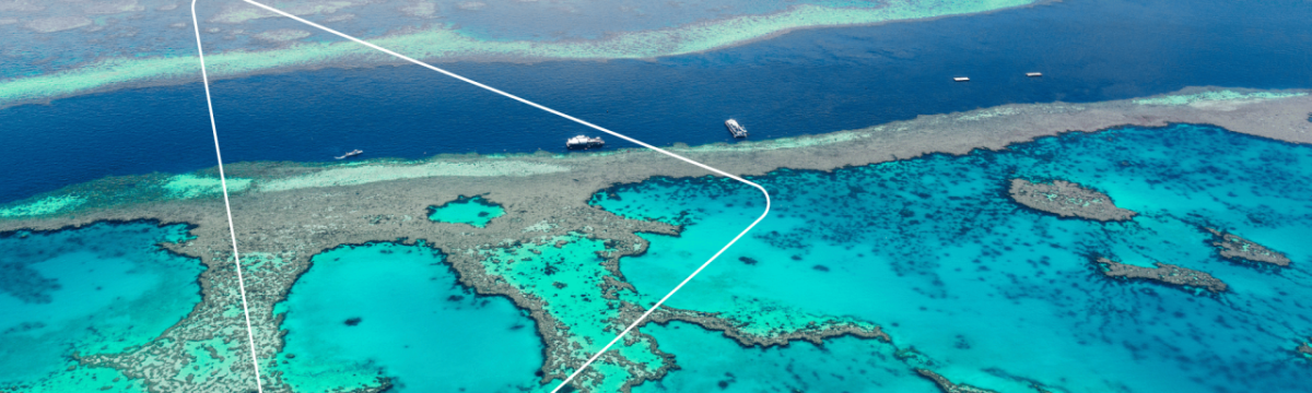 Aerial view of an ocean reef.