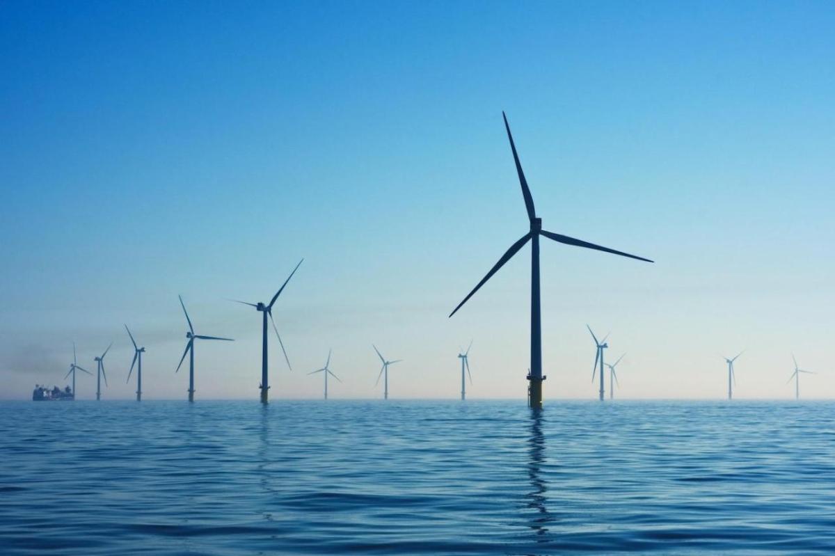 Rows of offshore wind turbines