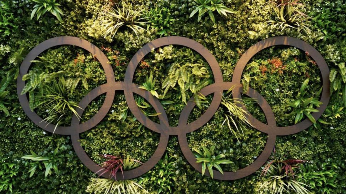 Olympic rings on a topiary wall