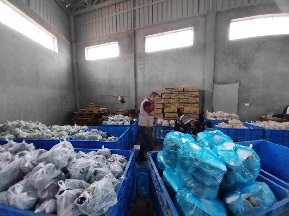 Action Against Hunger teams prepare packages of fresh fruit and vegetables for distribution to families in Gaza.