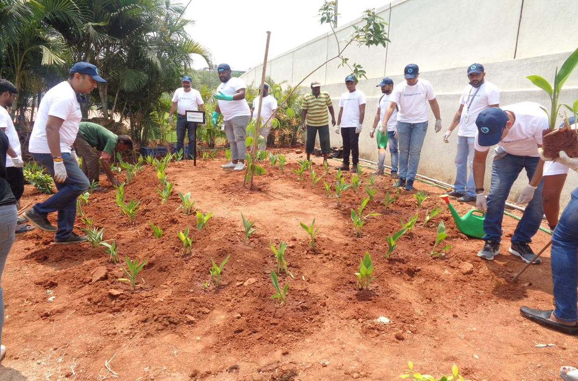 Bread Financial employees gardening 