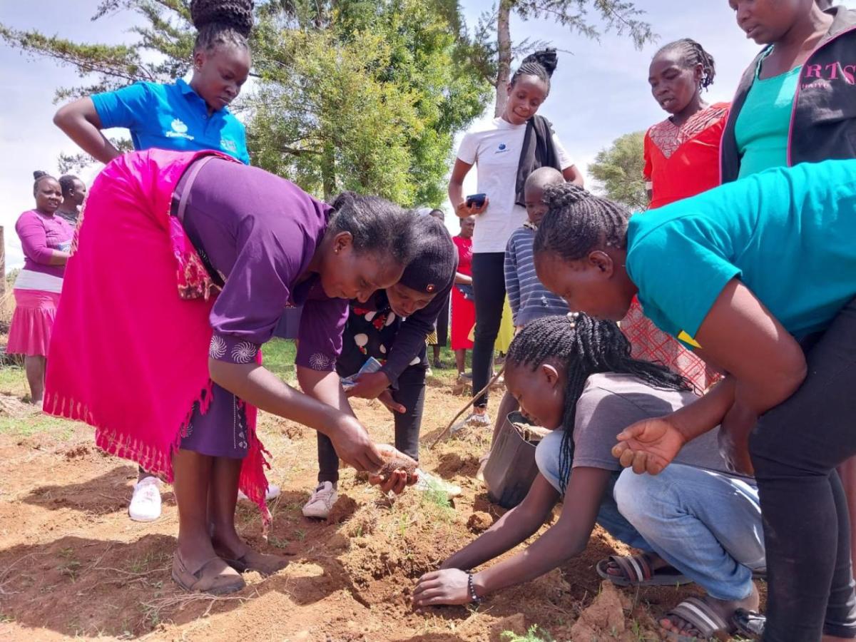 People bent over planting seeds and saplings in the ground.