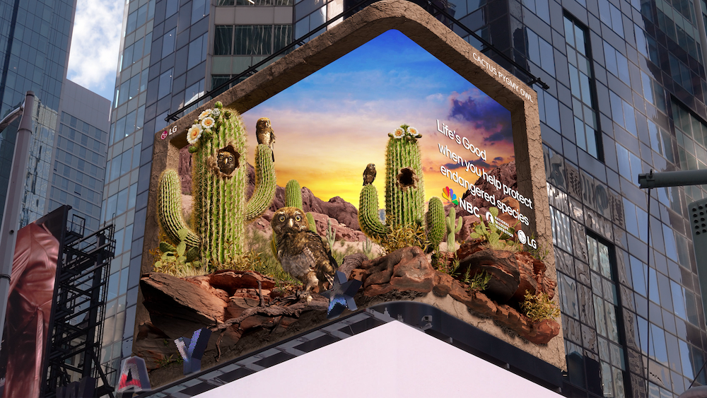 pygmy owl depicted in its habitat on large screen