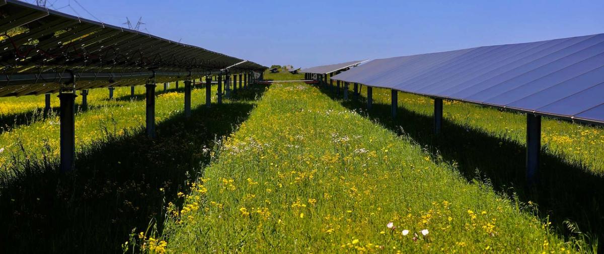 A solar panel array is shown in a green field.