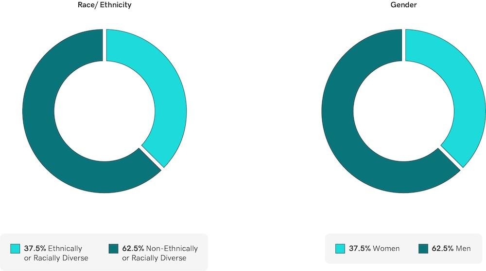 Charts showing Board of Directors Diversity.