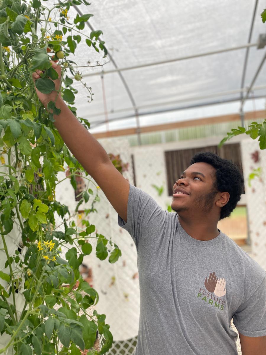 Person reaching out to a growing vine