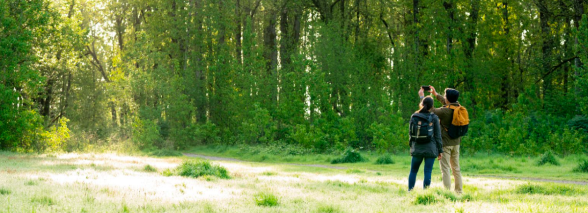 Couple taking a photo in a forest