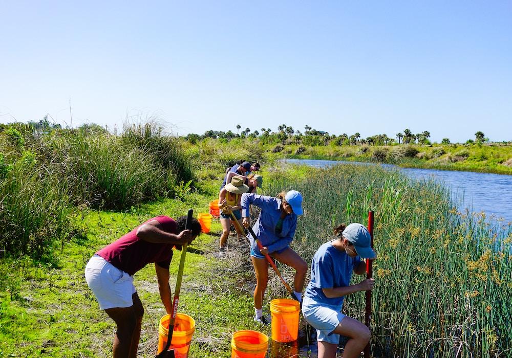 Volunteers working together by a body of water