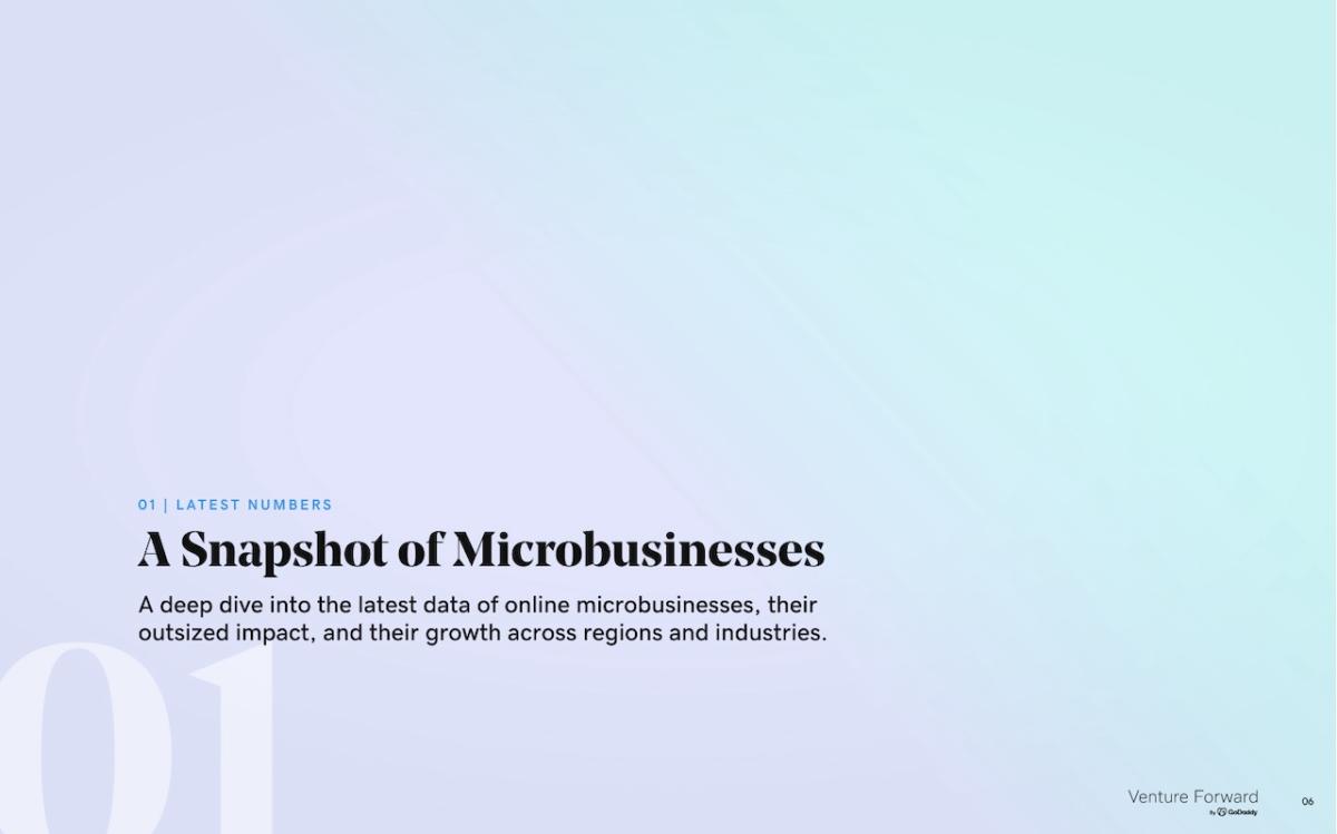 GoDaddy: A Snapshot of microbusinesses.