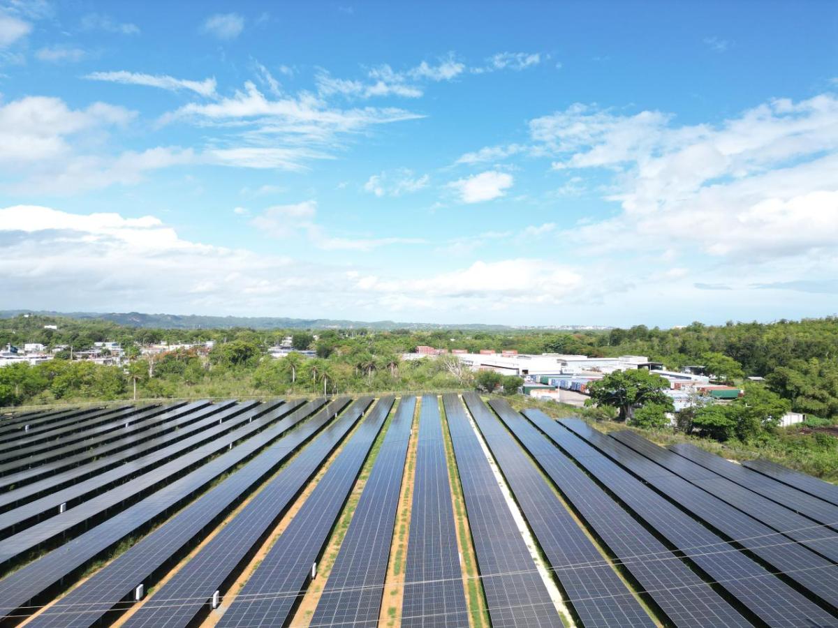 Solar farm