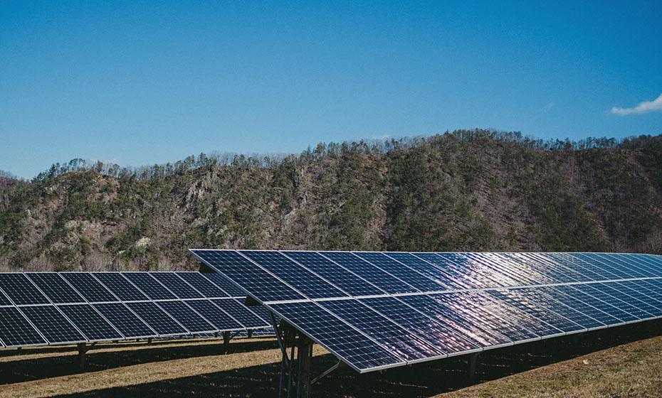 Rows of solar panels